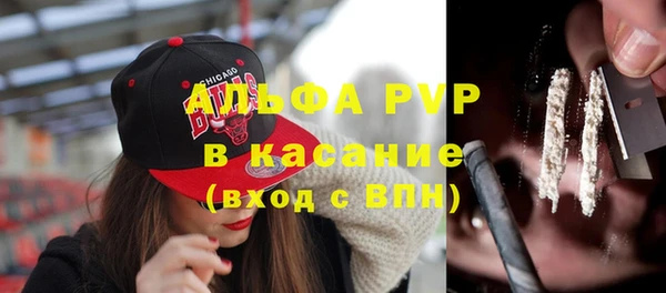 СК Касимов