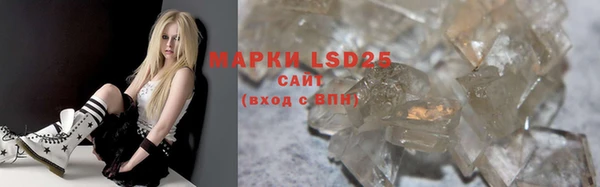 СК Касимов