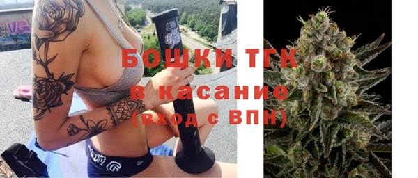 МДПВ Карпинск