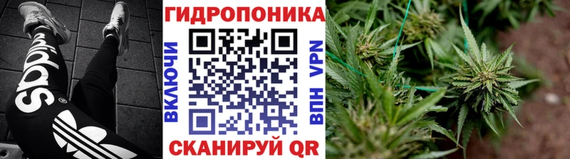 Шишки марихуана OG Kush  Купить закладки  Тавда 